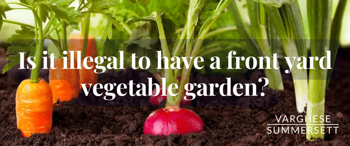 front yard vegetable garden