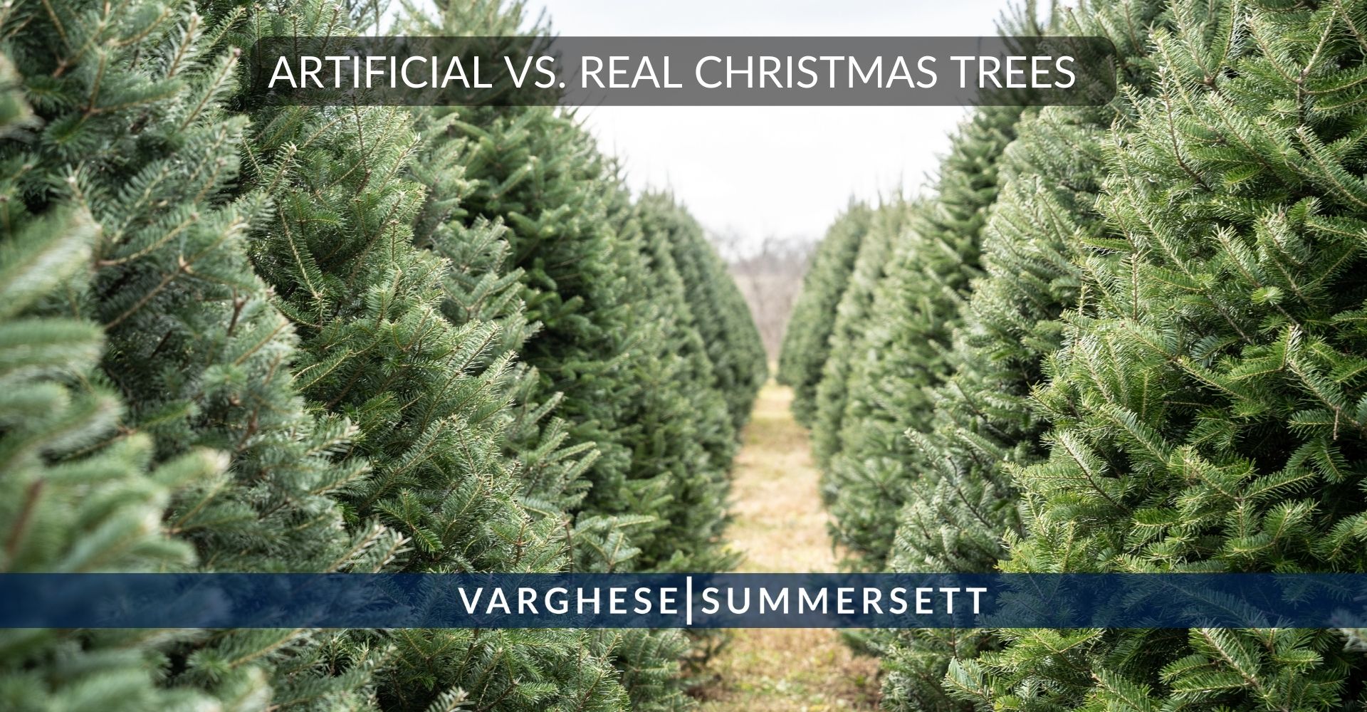 Artificial vs. Real Trees