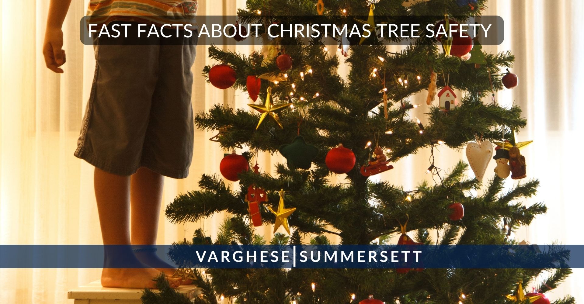 Fast Facts About Christmas Tree Safety