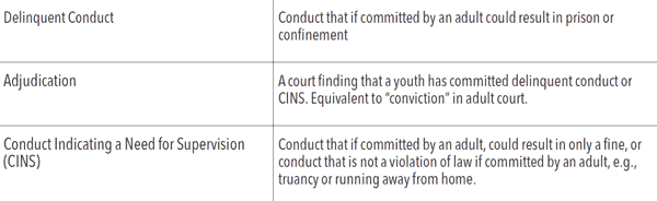 delinquent vs CINS in Texas