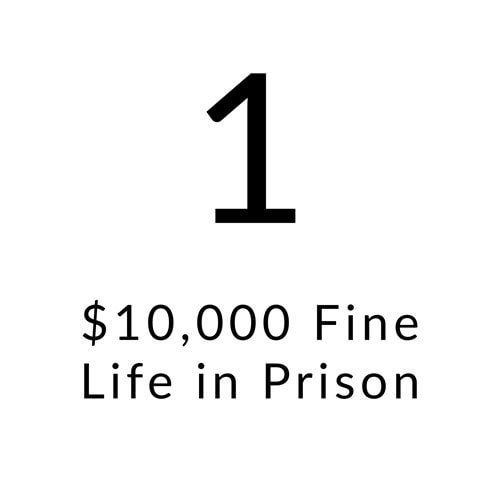 First Degree Felony