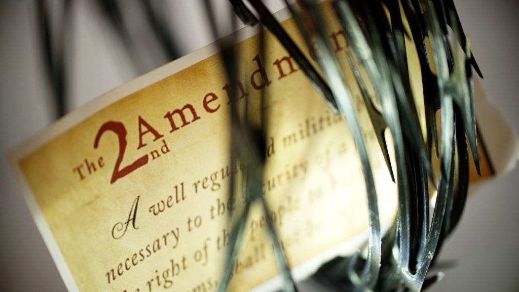 Second-Amendment-Sanctuary