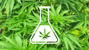 is delta-8 thc legal in Texas?
