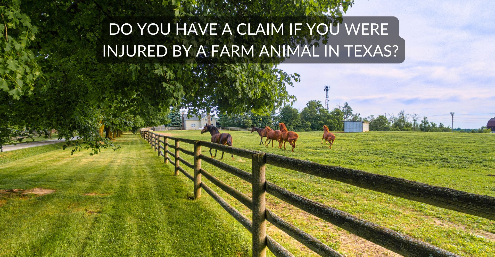 can you file a claim if you were injured by a farm animal