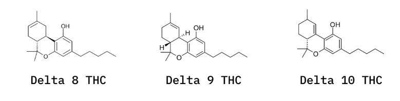delta 8 thc delta 9 thc delta 10 thc