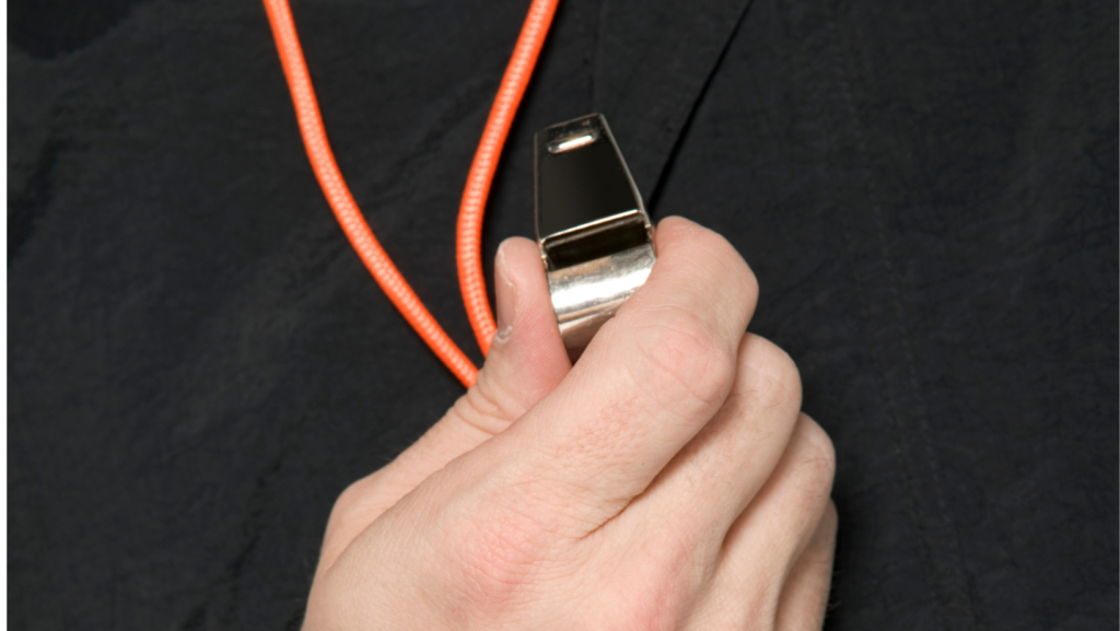 whistle 