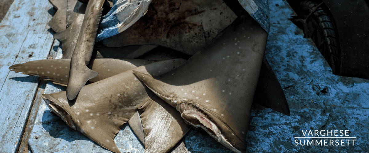 New Texas Criminal Laws | 2023 Legislative Update | 88th Legislature