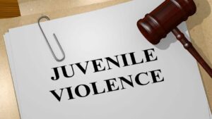 Gaval on juvenile violent paper